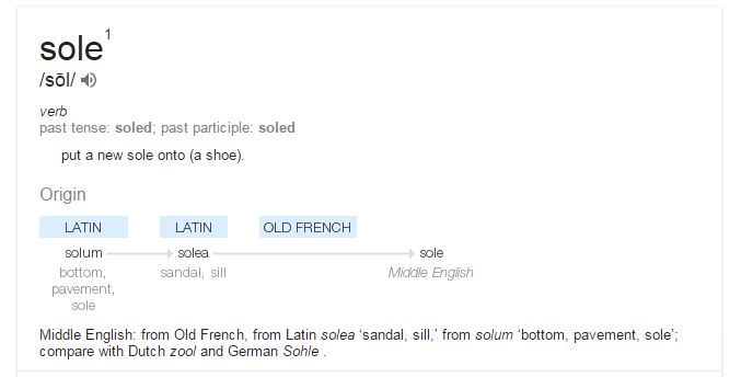 Sole definition google