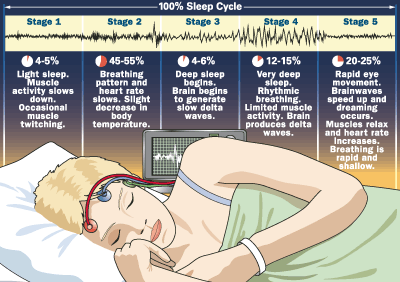 sleep-cycle-psychology-today